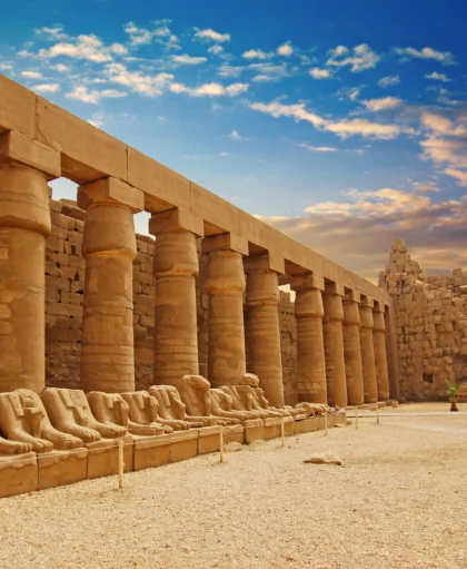 Untitled design (17)