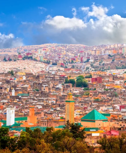 Untitled design (18)