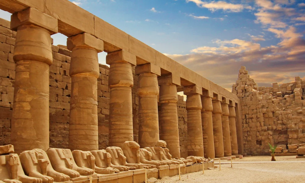 Untitled design (17)