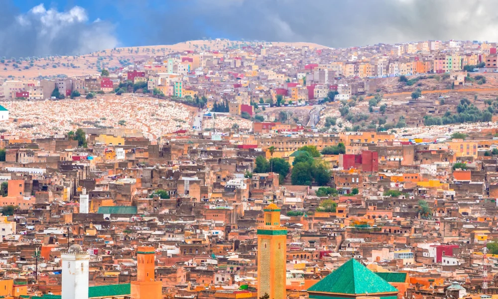 Untitled design (18)