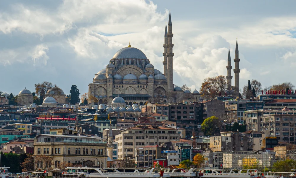 Untitled design (20)