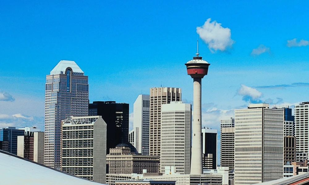 Untitled design - 2026-02-15T230456.803