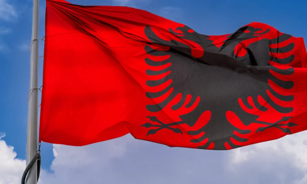 Untitled design - 2026-02-18T014622.881