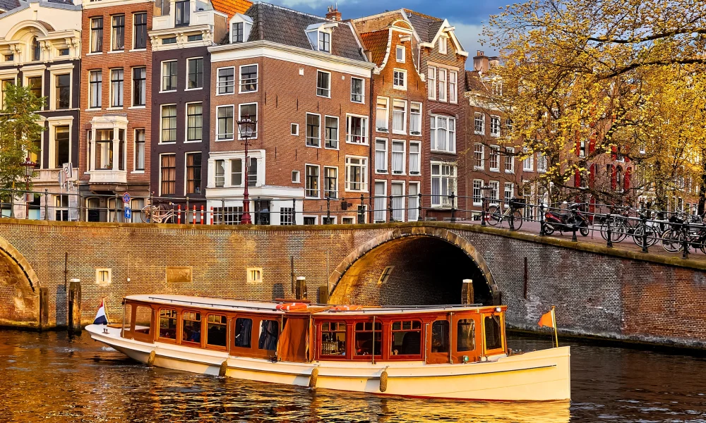 Untitled design (22)