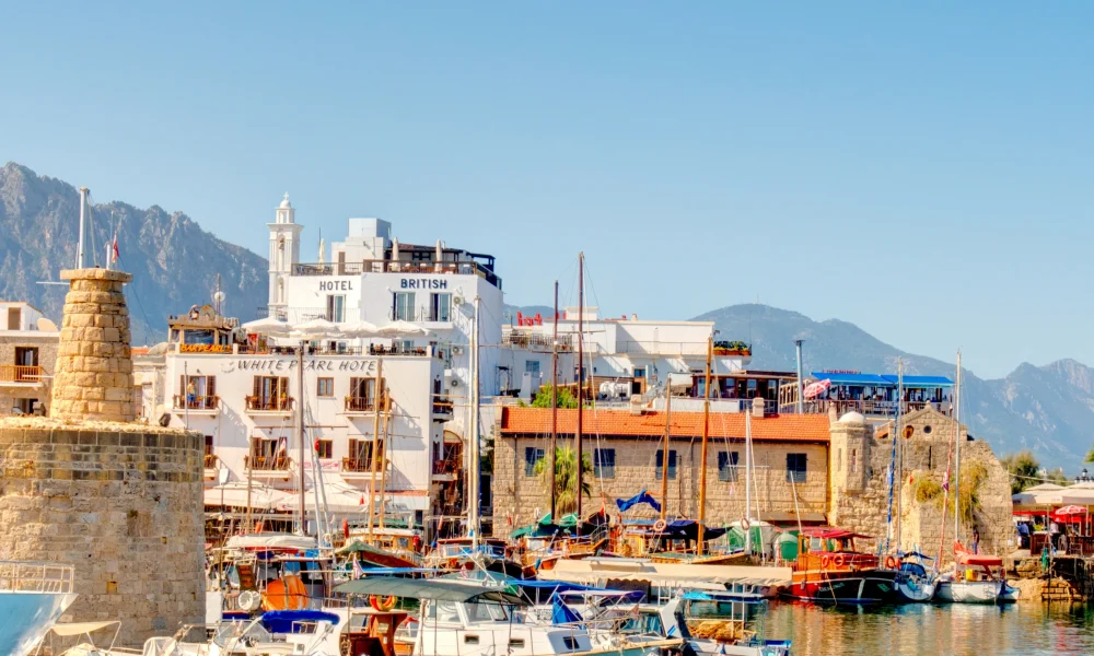 Untitled design (26)