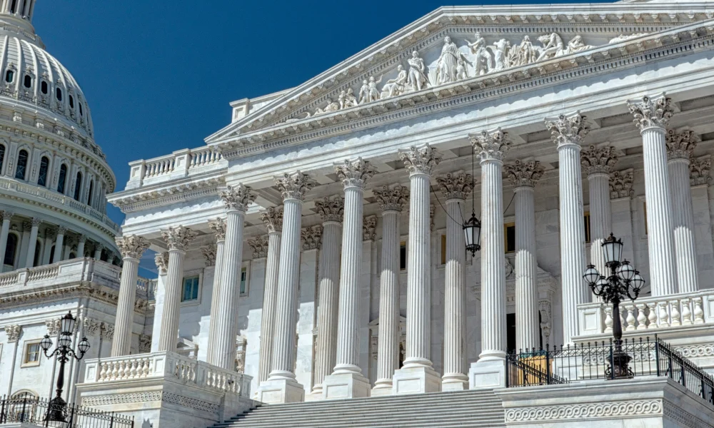 Untitled design (30)